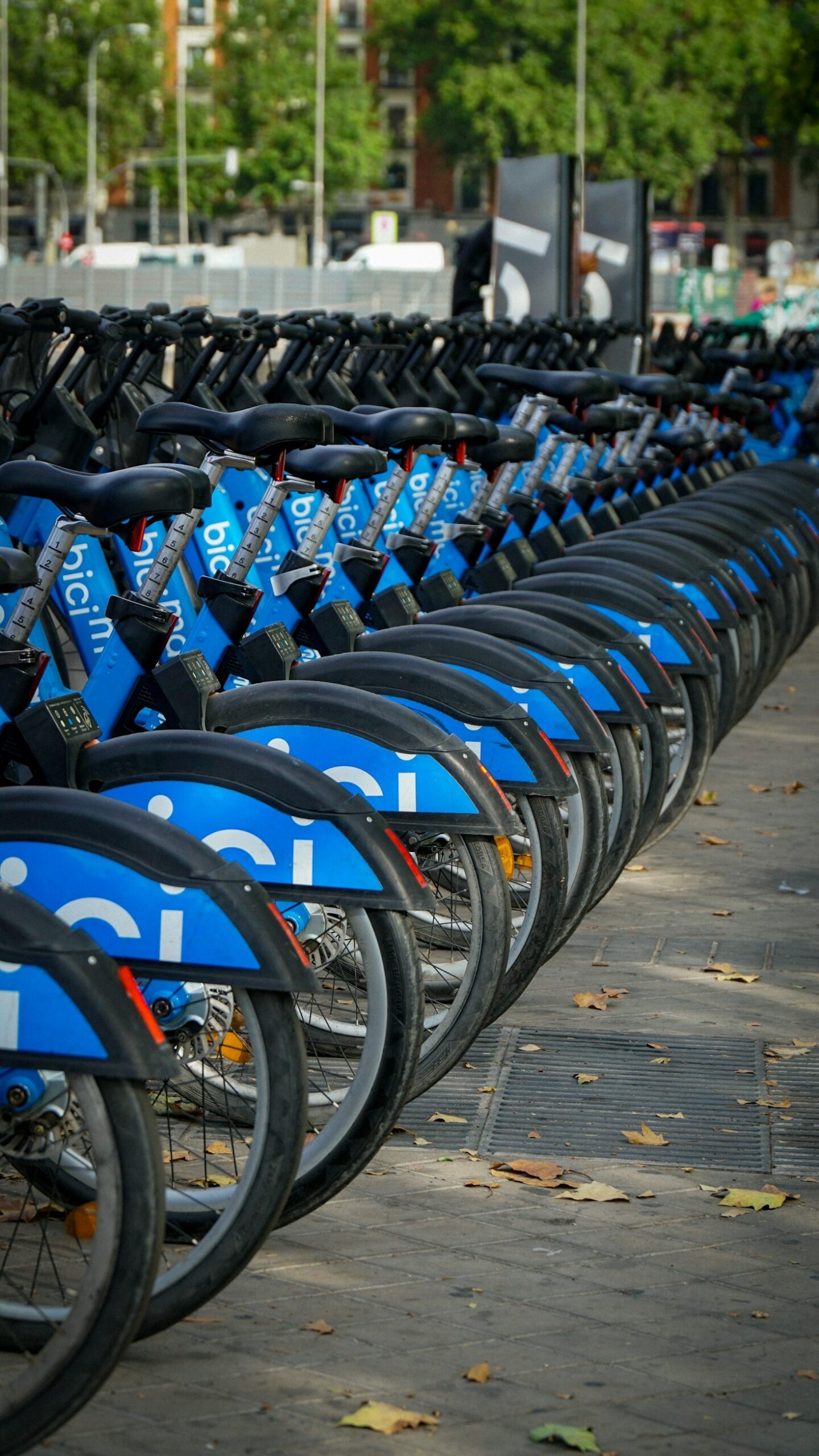 Why Nigeria Needs Sustainable Energy Solutions Now